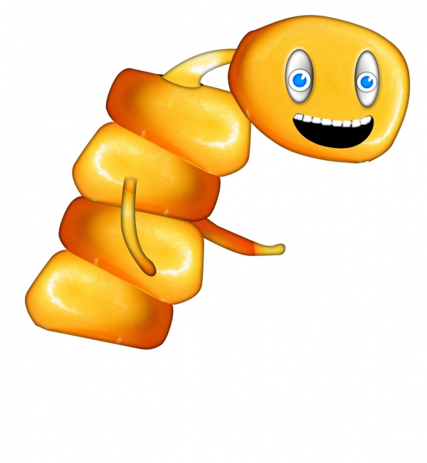 Creation of Corn alien with pet fly: Step 3